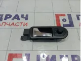 Ручка двери внутренняя передняя левая Volkswagen Passat 3B1837113LB41