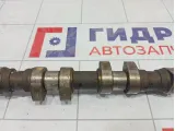 Распредвал выпускной Volkswagen Passat 058109022B