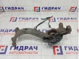 Кулак поворотный передний правый Volkswagen Passat 8D0407258AM