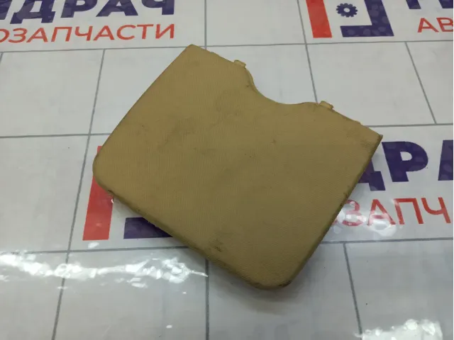 Накладка потолка Volkswagen Passat 3B0877829E