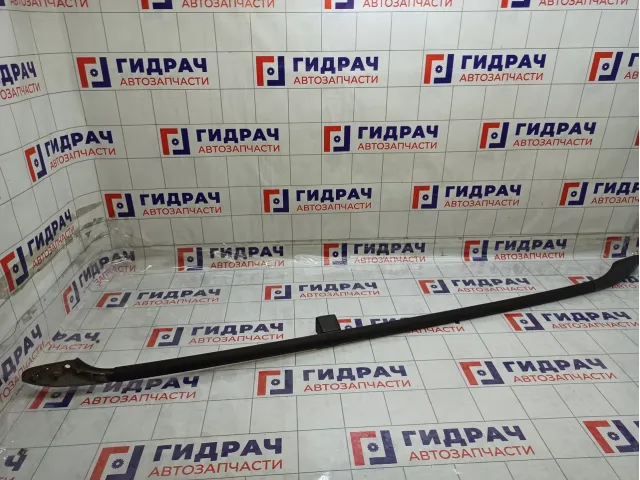 Рейлинг левый Volkswagen Passat 3B9860025B03C