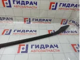 Рейлинг левый Volkswagen Passat 3B9860025B03C