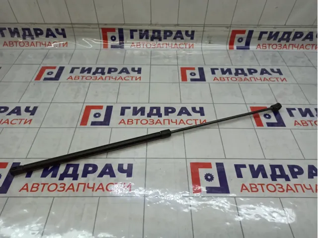 Амортизатор капота Volkswagen Passat 3B0823359C