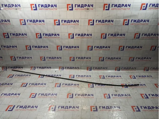 Молдинг крыши левый Volkswagen Passat 3B9853701E03C