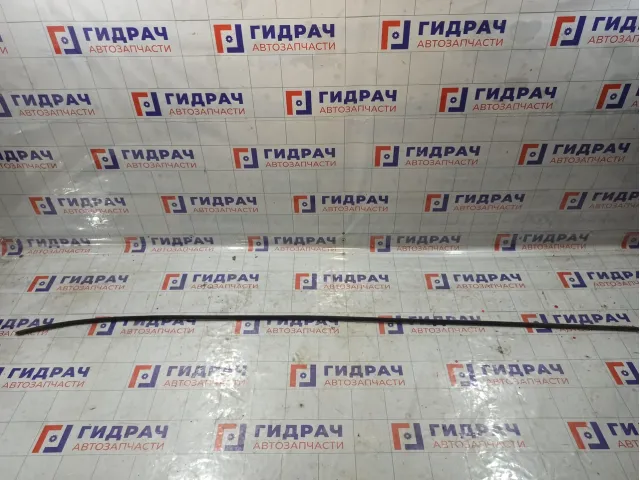 Молдинг крыши правый Volkswagen Passat 3B9853702E03C