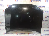 Капот Volkswagen Passat 3B0823031K