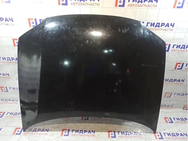 Капот Volkswagen Passat 3B0823031K