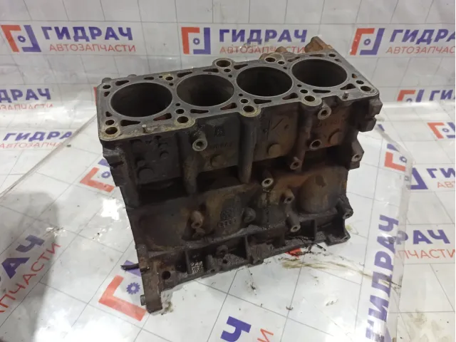 Блок цилиндров Volkswagen Passat 06B103101J