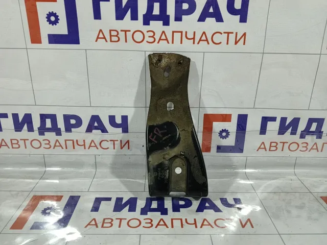 Кронштейн крепления крыла правый Volkswagen Passat 3C0821142