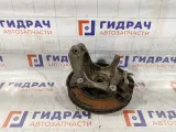 Кулак поворотный передний правый Volkswagen Passat 3C0407254F