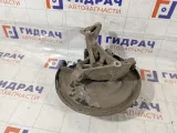 Кулак поворотный задний левый Volkswagen Passat 3C0505433K