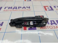 Ручка двери передняя наружняя левая Volkswagen Passat (B6)