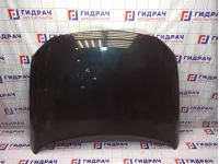 Капот Volkswagen Passat (B6)