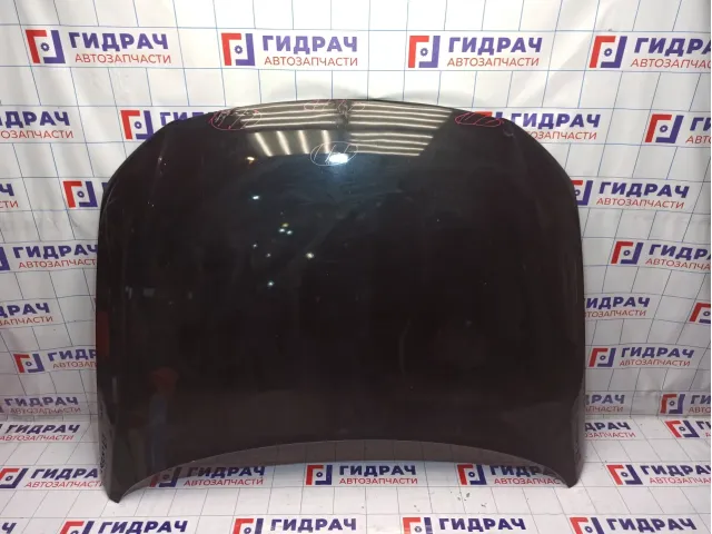 Капот Volkswagen Passat (B6)