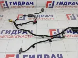 Проводка двери передней левой Volkswagen Passat