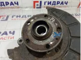 Кулак поворотный передний левый Volkswagen Passat 3C0407253F