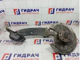 Кулак поворотный задний правый Volkswagen Passat 3C0505434K