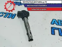 Катушка зажигания Volkswagen Passat B7 R0702S00300. Аналог.