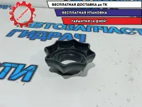 Гайка крепления запасного колеса Volkswagen Passat B7 1K0803899D.