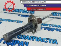 Амортизатор передний Volkswagen Passat B7 3AA413032.