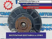 Кулак поворотный передний правый Volkswagen Passat B7 3C0407254F.