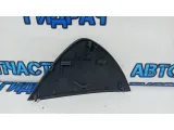 Накладка торпедо левая Volkswagen Passat B7 3C1858217D1QB.