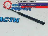 Амортизатор крышки багажника Volkswagen Passat B7 3AE827550A.