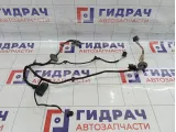 Проводка двери задней Volkswagen Passat B5 3B0971161N
