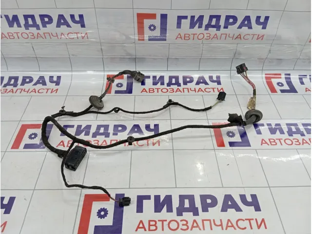 Проводка двери задней Volkswagen Passat B5 3B0971161N