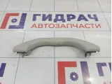 Ручка внутренняя потолочная Volkswagen Passat B5 3B0857607Y20