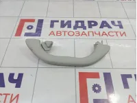 Ручка внутренняя потолочная Volkswagen Passat B5 3B0857607AY20