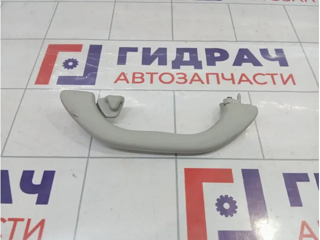 Ручка внутренняя потолочная Volkswagen Passat B5 3B0857607AY20