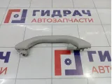 Ручка внутренняя потолочная Volkswagen Passat B5 3B0857607AY20