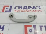 Ручка внутренняя потолочная Volkswagen Passat B5 3B0857607AY20