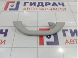 Ручка внутренняя потолочная Volkswagen Passat B5 3B0857608Y20
