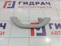 Ручка внутренняя потолочная Volkswagen Passat B5 3B0857608Y20