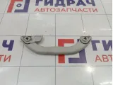 Ручка внутренняя потолочная Volkswagen Passat B5 3B0857608Y20