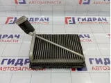 Испаритель кондиционера Volkswagen Passat B5 8D1820103D
