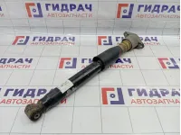 Амортизатор задний Volkswagen Passat B5 3BD513031
