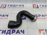 Патрубок интеркулера Volkswagen Passat B5