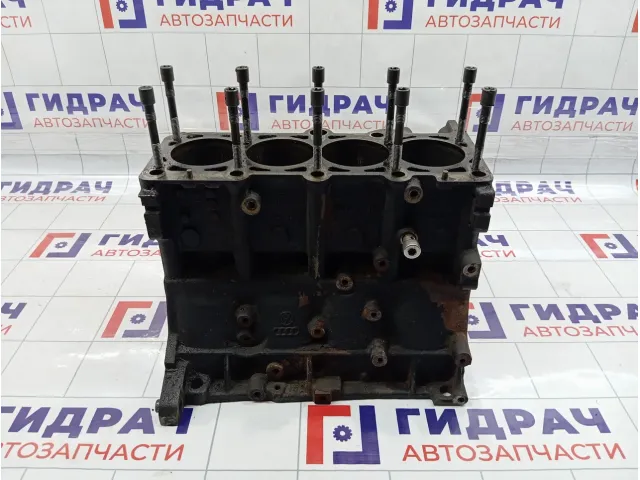 Блок двигателя Volkswagen Passat B5 06B103101J