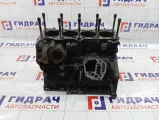 Блок двигателя Volkswagen Passat B5 06B103101J