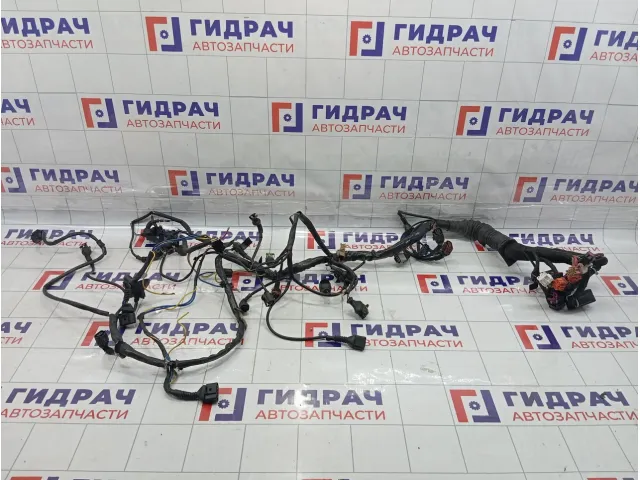 Проводка двигателя Volkswagen Passat B5 3B1971072FE