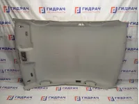 Обшивка потолка Volkswagen Passat B5 3B5867501DD6K8