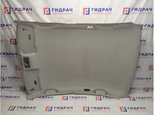 Обшивка потолка Volkswagen Passat B5 3B5867501DD6K8