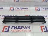 Решетка в бампер центральная Volkswagen Passat B5 3B0853677EB41