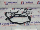 Проводка моторная Volkswagen Passat B6 .