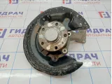 Кулак поворотный задний левый Volkswagen Passat B6 3C0505433K. Дефект.