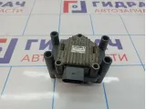 Катушка зажигания Volkswagen Passat B6 .