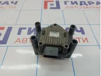 Катушка зажигания Volkswagen Passat B6 .